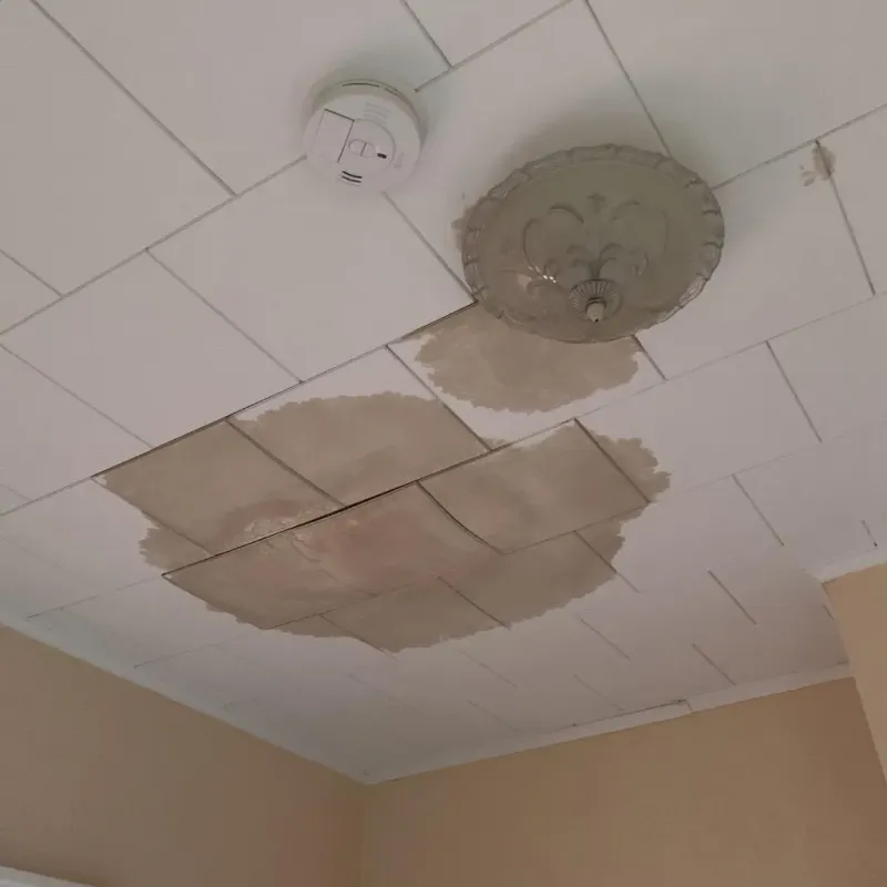 Ceiling Water Damage Repair in Halifax, NC