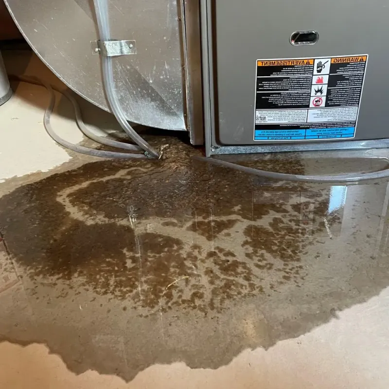 Pipe Burst and Leak Restoration in Halifax, NC