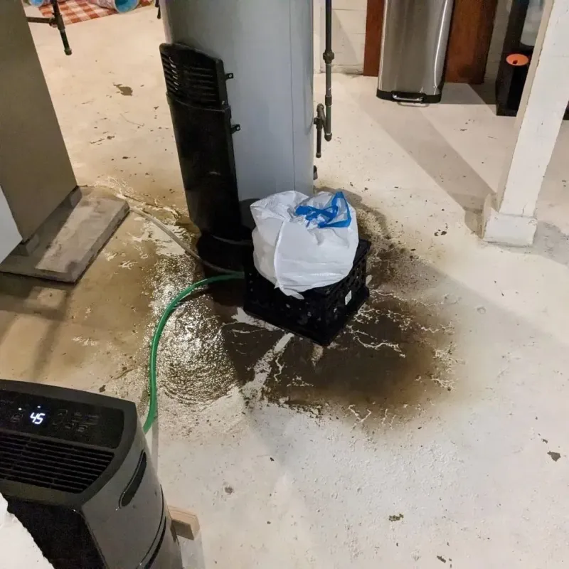 Sewage Backup Cleanup Service in Halifax, NC